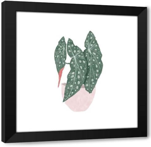 ArtDirect Polka Dot Begonia II Custom Framed Art Print Giclee Print or Canvas Options with Various Sizes and Customization by Bannarot