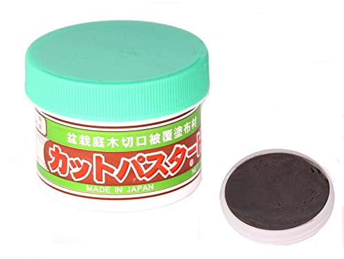 Geosism & Nature Bonsai Paste - Grün, 190grm, Ton, Lufttrocknung, Modellierwerkzeug, Anleitung, Bonsai Baumpflege und -gestaltung, 0.44 pounds