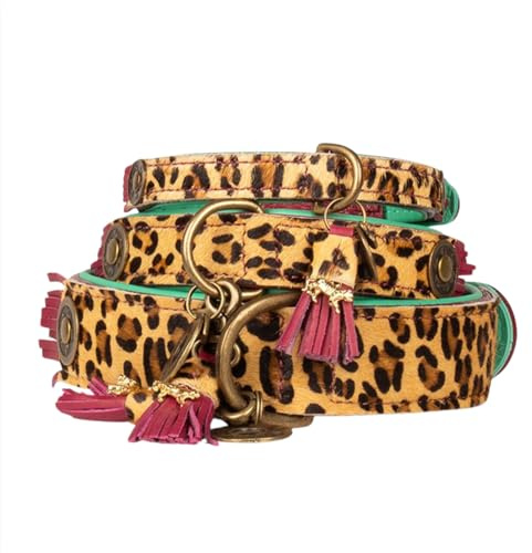 Dog with a Mission - Hundehalsband S | Leopard, Türkis, Braun | Boho, Ethno, Urban, Hippie | Ideal für kleine Hunde | Handgemacht, Bunt und Modisch Design, Luxe | 2 cm Breit