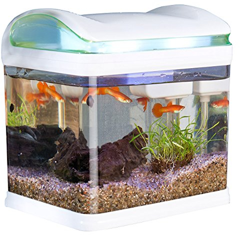 Sweetypet Aquarium: Transport-Fischbecken mit Filter, LED-Beleuchtung und USB, 3,3 Liter (Mini Aquarium, USB Aquarium, Urzeitkrebse)
