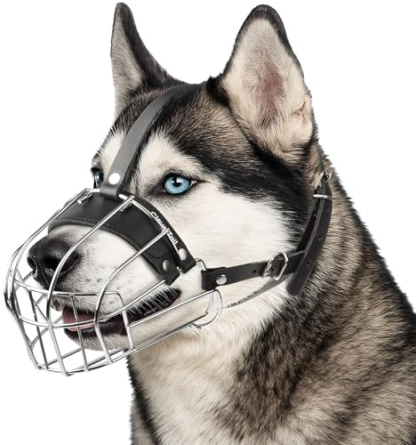 CleverTail Museruola Husky in metallo per cani di taglia grande - Museruola per cani con cinghie regolabili in pelle - Museruola in acciaio per evitare morsi e mangiare - paradenti per cani di taglia