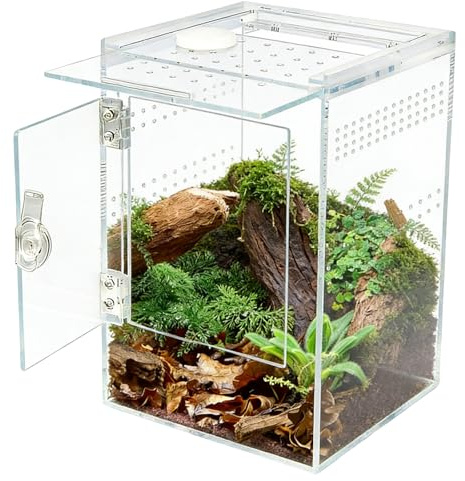 Hoppande spindelhölje, 15 x 15 x 23 cm, hoppande spindelhölje, akryl för hoppande spindel, 360° rektangulär glasterrarium med ormsidodörr