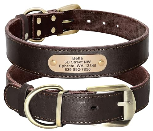 Didog Hundehalsband aus echtem Leder mit graviertem Namensschild, personalisierbar, weiches Leder, Hundehalsband mit individuellem ID-Etikett, braun/grün/rot für mittelgroße Hunde