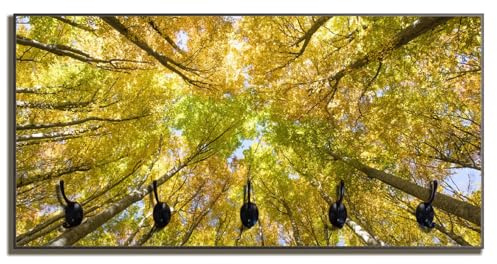 Wallario Wandgarderobe aus Holz in Größe 80 x 40 cm in Premium-Qualität, Motiv: Goldener Herbst - Bunte Blätter von unten betrachtet | 5 Kleiderhaken zum Aufhängen