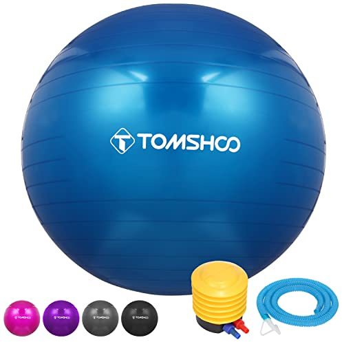 TOMSHOO Exercise Ball, Anti-Burst Gym Ball Yoga Ball With Air Pump Thickened Fitness Ball for Fitness, Pilates, Stability Balance for Physical Fitness, 45cm 55cm 65cm 75cm