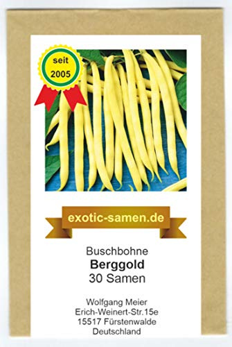 Buschbohne - Wachsbohne - mittelfrüh - Berggold - 30 Samen