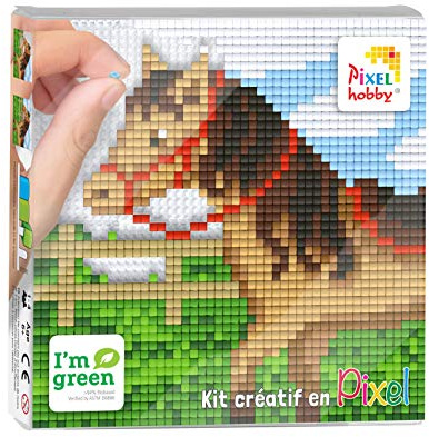 ZYZYZK Pixel Bild zum Basteln, 12 x 12 cm, Pferd auf der Wiese, PX44016