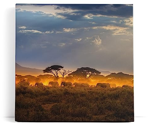 Paul Sinus Wandbild 80x80cm Elefantenherde Elefanten Afrika Wildnis Sonnenuntergang
