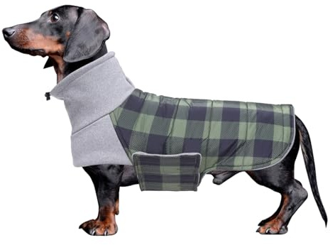 Geyecete Abrigo Perro Salchicha,Impermeable Abrigo Teckel,Chaqueta de Perros pequeños de Invierno,Jersey Pullover Dog con Agujero Arnés -Verde-XS
