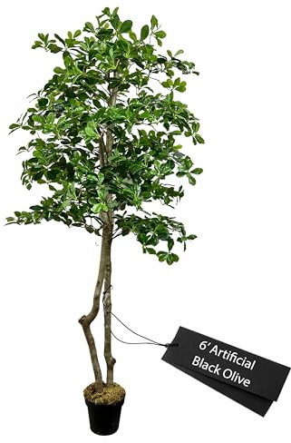 Cypress & Alabaster 6' Italian Black Olive Leaf Artificial Tree | Home & Office Decor | Real Touch | Green | 72 inches