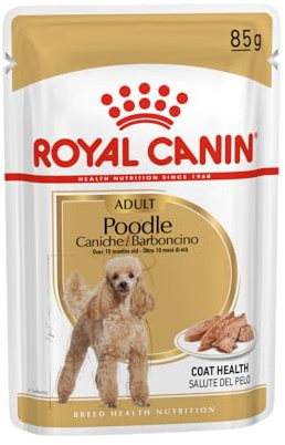 Royal Canin Poodle Adult | 12 x 85 g | Comida húmeda para caniches Adultos y Mayores | A Partir de 10 Meses de Edad | para el Mantenimiento del Pelaje | con una Textura Sabrosa