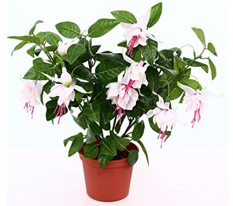 Kunstpflanze Fuchsia 30cm hoch mit rosa weißen Blüten - Künstliche Nachtkerze Fuchsie blühend im Topf