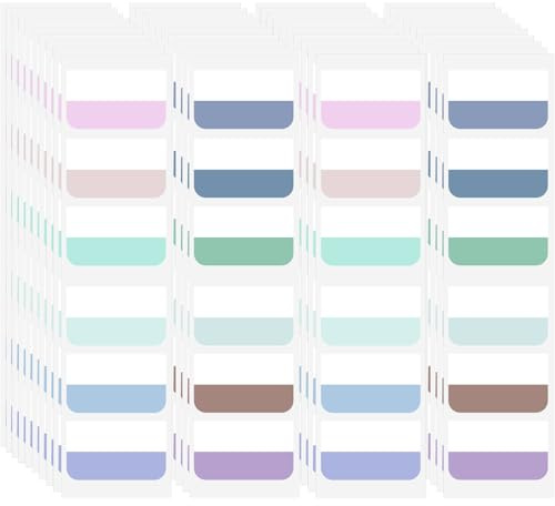 AccEncyc 240 Pcs Colored Index Tab 1x1.8 Large Book Sticky Tabs Repositionable Page Tabs Flags Page Markers Labels for Notebooks, Filing, Classification,12 Colors