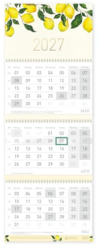 Häfft® 3-Monatskalender 2027 Wandkalender mit Schieber Lemon Times | Bürokalender Wandplaner mit Goldprägung, Ferien & Feiertagen für DE und Jahresübersicht