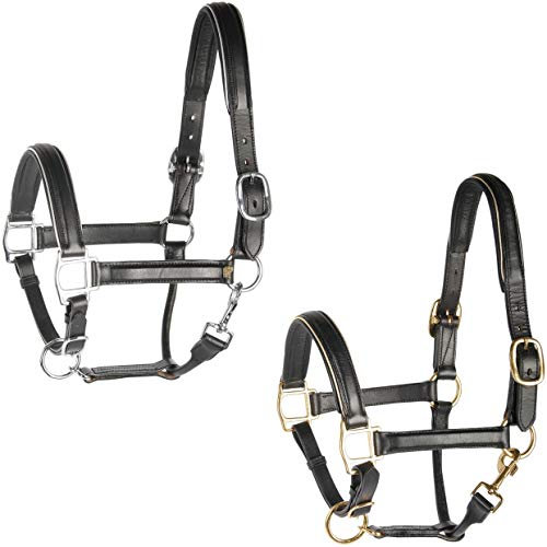 Harry's Horse Halster Leder, zwart met bies, Farbe:Silber, Größe:Full