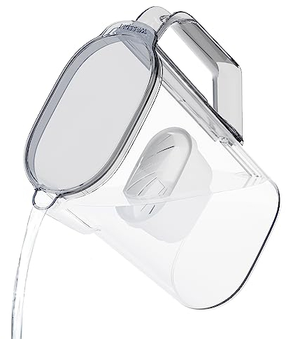 Wessper Caraffa Filtrante 2,7 L per Porta del Frigorifero, Compatibile con Filtro Brita Maxtra, Brocca Acqua Filtrante BPA Free – Nero