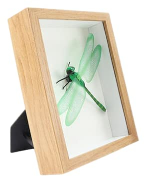 Expositor de caja de sombra, marco de fotos de madera de 1.2 pulgadas de profundidad para flores secas, medallas (color madera, 5x7)