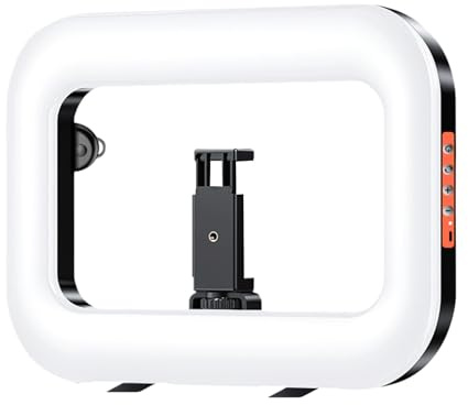 Phone Ring Light,Handheld Type-C Rechargeable Portable Lamp | Phone Holder Light,for Home Travel Concert Camping School Offices Outdoor Daily Work
