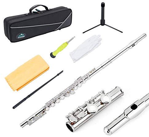 Eastrock Querflöte mit geschlossenen Löchern, 16 Löcher, Silber, für Anfänger und Kinder, Erwachsene, mit Halterung, Reinigungsset, Tuningrod, Transporttasche