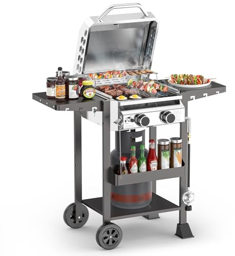 ‌2-Burner Gas Grill, Stainless Steel 160,00 BTU BBQ Grill with Foldable Side Shelves & Storage Shelf – Ideal Propane Grill for Outdoor Barbecues, Patio Gatherings, and Camping