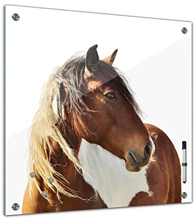 Bilderdepot24 Memoboard 40 x 40 cm | Tiere | Pferd Portrait | abwaschbare Glas-Magnettafel mit Halterung Magneten Stift 1318