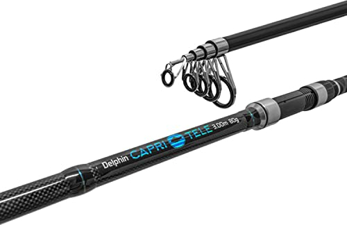 Teleskop Allround Rute Capri 300 cm 80 g