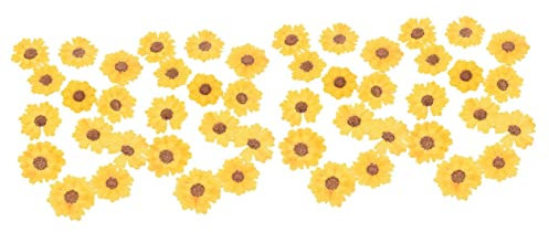 HAPINARY 48 STK DIY Prägung Nagel Kunst Dekoration Haushaltswaren Getrocknete Herbstblumen Nageldekoration Gepresste Blumen Für Heimwerker Bastelbedarf Yellow Serpentinen-Chrysantheme