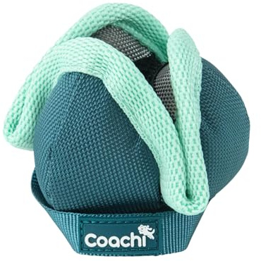 Coachi Chase & Treat pour Chiens et Chiots - pour Jeux de Poursuite, éducation à Distance et agilité, favorise l’Interaction, motivant, éducation à Distance avec récompense et récupération