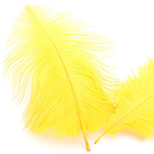 10 Stück 15-20cm Natürliche Straußenfedern,Strauß Feder zum Basteln,Bastel Federn für DIY Traumfänger Zubehör,Heimdekoration,KostüMe,Tischdeko Hochzeit Party Fest Hüte Kleidung Dekoration,Gelb