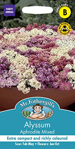 Mr Fothergill’s Seeds Ltd Alyssum Aphrodite Mixed Flower Seeds, Pink/White