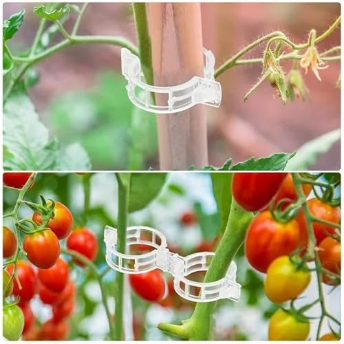 Pflanzenclips XXL mit beweglicher Öffnung – 100 Stück Set für Kletterpflanzen, Tomaten & Obstbäume， Schwerlast-Clips bis 2kg，Wetterfeste Universal-Befestigung an Wand, Rankgittern und Stäben ，(grün)