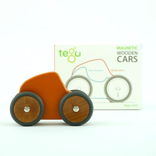 Tegu Renner Maddy Micro 5-teilig Magnetische Holzbausteine Holzset Holzspielzeug Holzauto Bausteine für Kinder