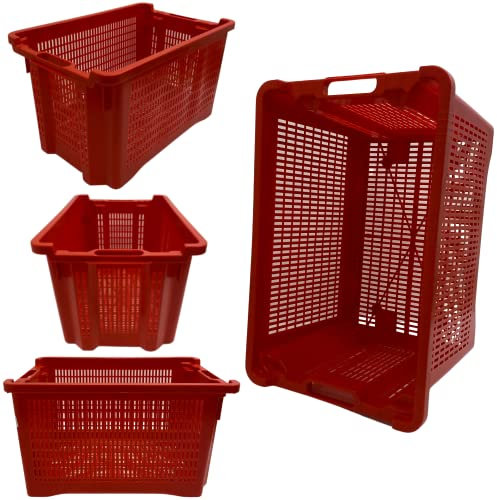 acquaverde Cassetta Agricola con Fondo Traforato in Plastica, Cesta per Raccolta Olive, Impilabili e Sovrapponibili, Con Manici, 40 Litri, cm. 56x35x31 (1)