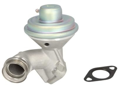 Magneti Marelli 571822112100 Valvola EGR Ford, Peugeot | Compatibile con: CITROËN C2, C3 I, C3 Pluriel, XSARA, XSARA Break, XSARA Coupe, FORD FIESTA V, FIESTA V Van, FUSION, MAZDA 2