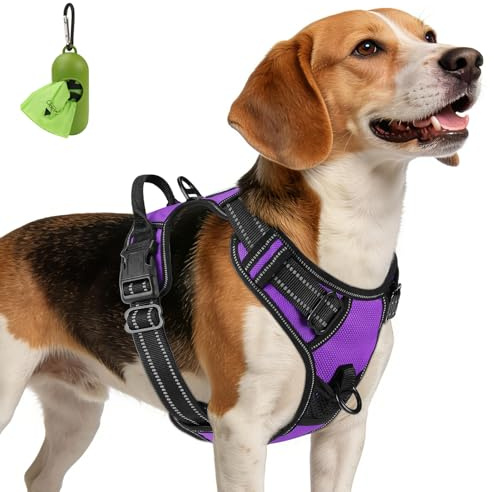 Joytale Anti-Zug Hundegeschirr für mittelgroße Hunde, Lila, M | Perfekter Sitz, gepolstert & reflektierend, 2 Anleinpunkte (vorne & hinten), Haltegriff für Treppen & Auto, für Training