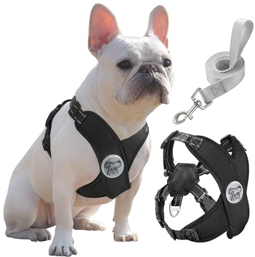 Pawaboo Set med liten hundsele och koppel, valpsele X-ram inget drag ingen kvävning, hundväst sele justerbar för små medelstora hundar, mjuk andningsbar husdjurssele för promenader utflykt (L, svart)