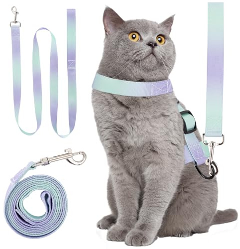 Katzengeschirr mit Leine Ausbruchsicher Set, Katzenhalsband mit Sicherheitsverschluss, Nylon Katzen Geschirr, Leichtes Katzenleine mit Autogurt, Halsband, Cat Leash für Spaziergänge, Auto Reisen