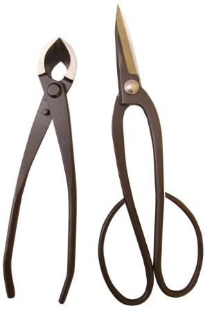 Genki-Bonsai Bonsaiwerkzeugset mit 2 Profi Werkzeugen in schwarz (Bonsaischere mittelbreit, Konkavzange 170mm)