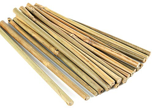 Pllieay Piquets en Bambou épais Naturel piquets de Jardin Cannes de Bambou pour Le Soutien des Plantes. 40 CM