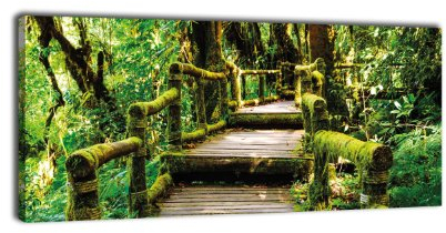 wandmotiv24 Leinwandbild Panorama Nr. 394 Treppe im Urwald 100x40cm, Keilrahmenbild, Bild auf Leinwand, Dschungel Bäume Wald