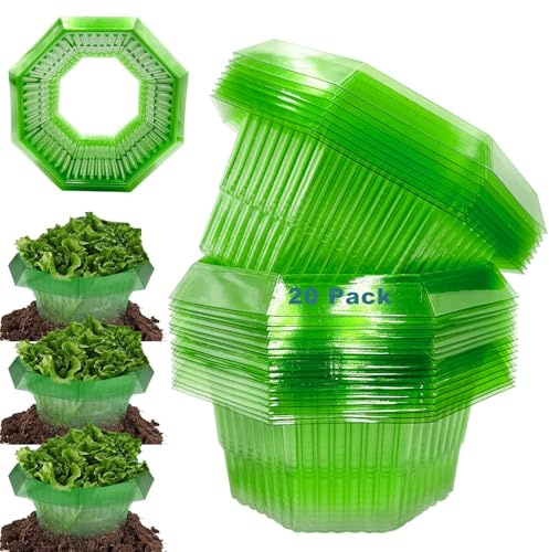 Sunshine smile 20 Stück Schneckenkragen,schneckenkragen aus Plastik,Schneckenschutz,Schneckenschutzringe,Schneckenring Garten Effektiver Schneckenschutz für Ihre Salatpflanzen Hängende Tomaten