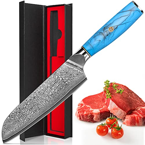 Coltello Santoku Damasco, Coltello da Pesce Damasco con Lama Estremamente Affilata da 17,5 cm Realizzato in 67 Strati di Acciaio Damasco Vg-10, Manico Ergonomico in Resina Naturale, Confezione Regalo