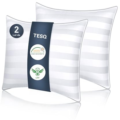 TESQ Oreiller 65x65 cm - Oreillers Luxe Hôtelier au Remplissage Amélioré