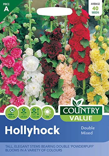 Country Value HOLLYHOCK Double Mixed Seeds