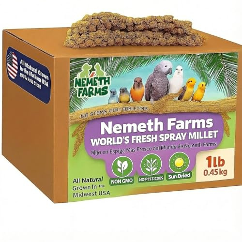 Nemeth Farms Spray Millet - Edible Tops Only, Non-GMO and Sun-Dried - 1 lb for Parakeets, Canaries and Finches