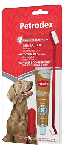 Petrodex Dental Care Kit for Dogs and Puppies, Cleans Teeth and Fights Bad Breath, Reduces Plaque and Tartar Formation, Enzymatic Tooth Brushing Kit, Peanut Flavor, 2.5oz Toothpaste + Toothbrush