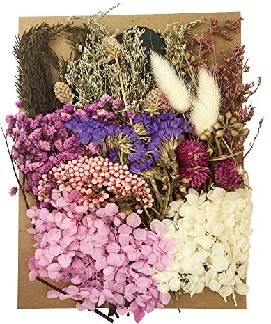 Cayway Fiori secchi per Resina, Fiori Pressati Secchi Naturali Viola Rosa Bianco Foglie Pressate Secche Naturali per Scrapbooking, Gioielli in Resina Epossidica