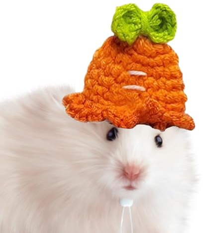 Cappelli a maglia per criceti, cappelli da compagnia criceto | Heaves da compagnia a maglia, piccolo cappello da criceto | Accessori per costumi morbidi vestiti animali colorati per