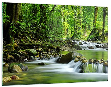 ARTTOR Bilder auf Glas 120x80cm Wandbild Glasdruck Landschaften Wald - 0174 | Strom Natur Groß XXL Modern Dekoration Wohnzimmer Schlafzimmer Küche Wanddeko Kunstdruck Art Wall Decor ARTTOR