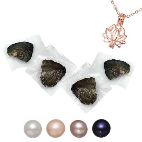 kiss me Collar de perlas de ostra natural con collar de bricolaje, ostras de agua dulce con perla en el interior, collar con medallón de perlas de amor y deseo, regalo de 45,7 cm para mamá y amante, H